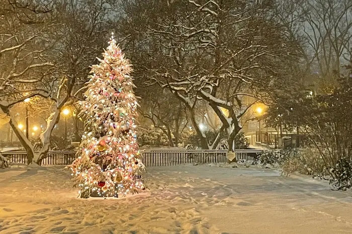 A lit up Christmas tree in the snow, Corlears Hook Park, last week.